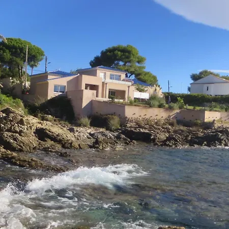 Coryphene Pied Dans L Eau *