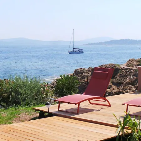 Coryphene Pied Dans L Eau