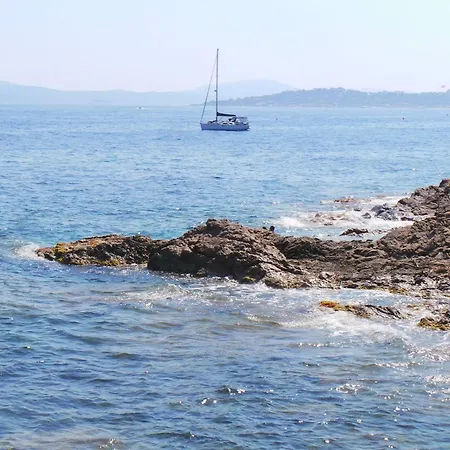 Coryphene Pied Dans L Eau Les Issambres