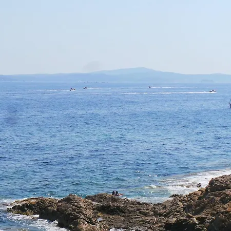 Coryphene Pied Dans L Eau