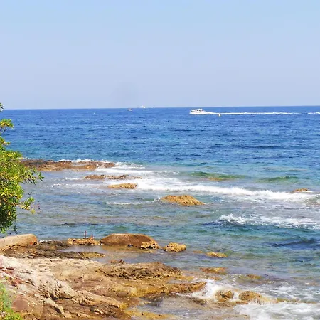 Coryphene Pied Dans L Eau Villa *